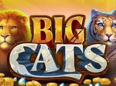 Fiz Casino screenshot